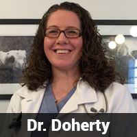 Dr. Doherty
